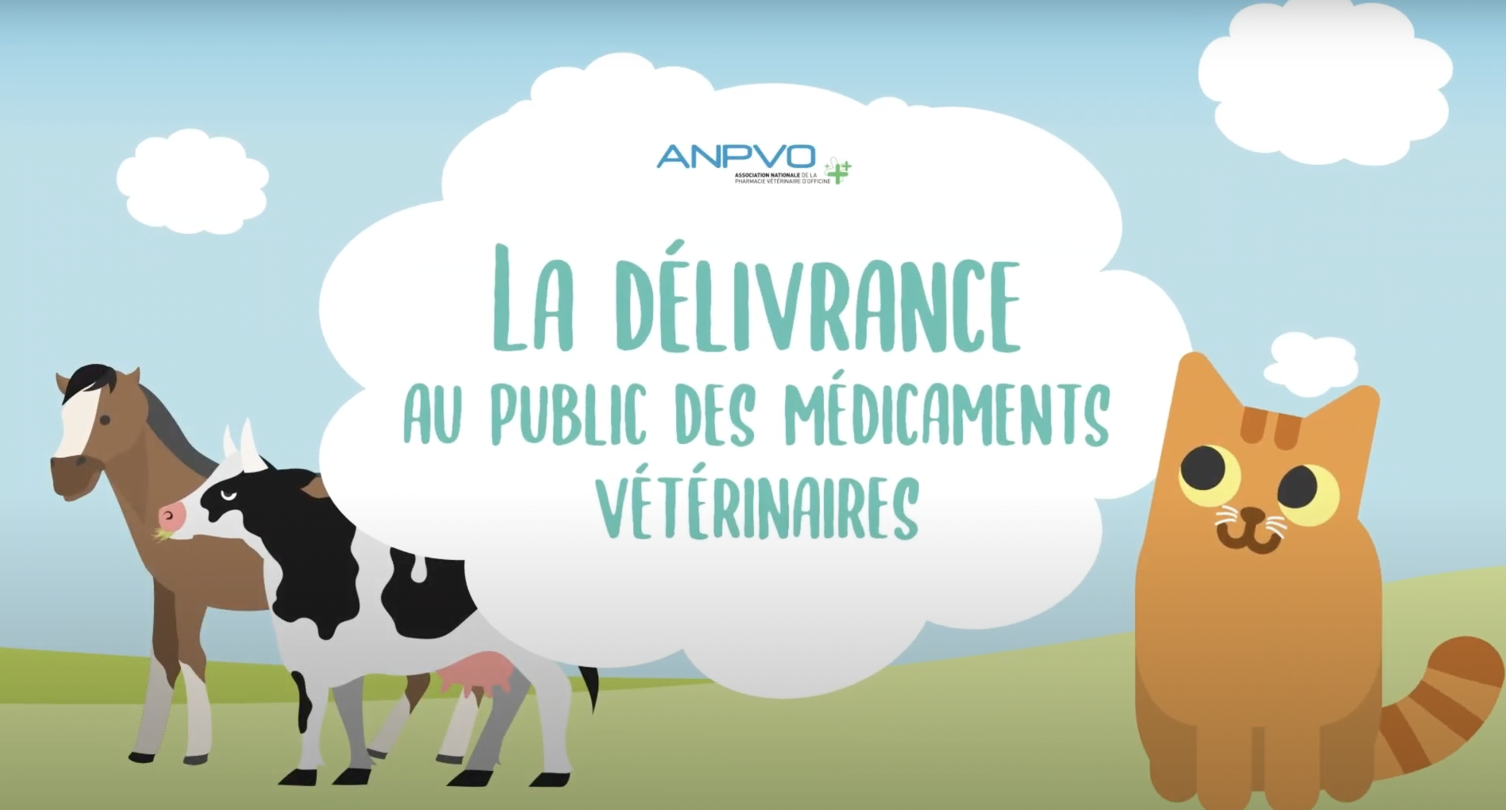 L’ANPVO déploie une campagne vidéo pour la dispensation des médicaments vétérinaires en officine