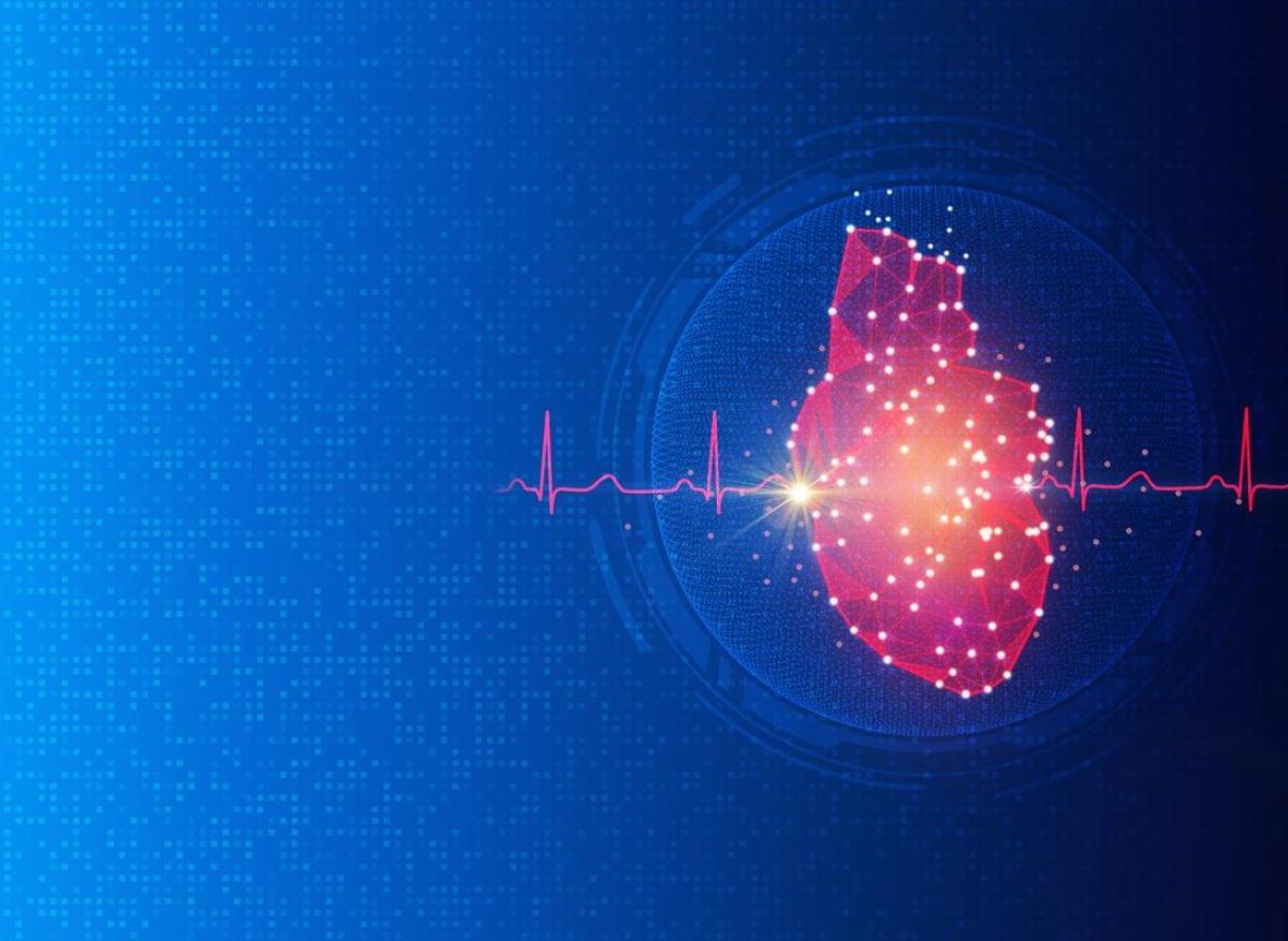 Une nouvelle protéine-cible pour traiter l'arythmie cardiaque 