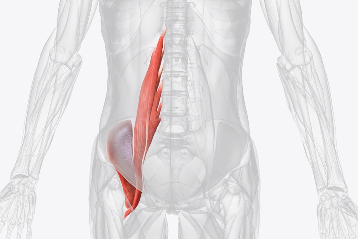 Syndrome du psoas : une douleur trompeuse lombaire, de la hanche ou de l’aine