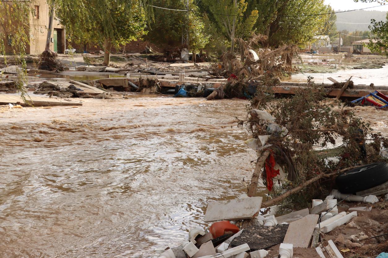 Solidarité et soutien : les pharmaciens mahorais face au cyclone Chido