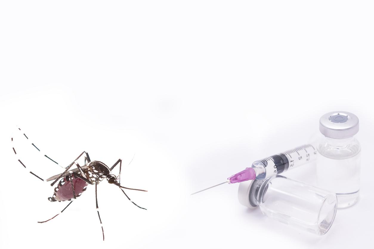 Premier vaccin contre le chikungunya approuvé par la Commission européenne